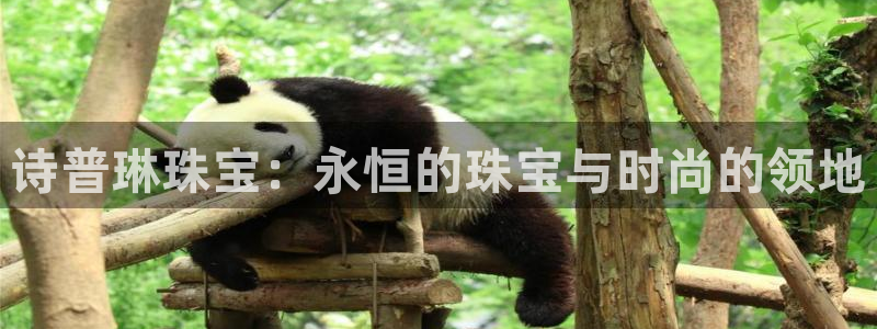 新宝5什么时候上市：诗普琳珠宝：永恒的珠宝与时尚的领地