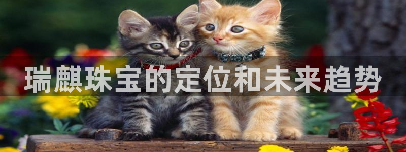 新宝股东王听2 5 5：瑞麒珠宝的定位和未来趋势