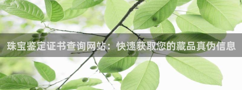 新宝5登录入口网址：珠宝鉴定证书查询网站：快速获取您的藏品真伪信息