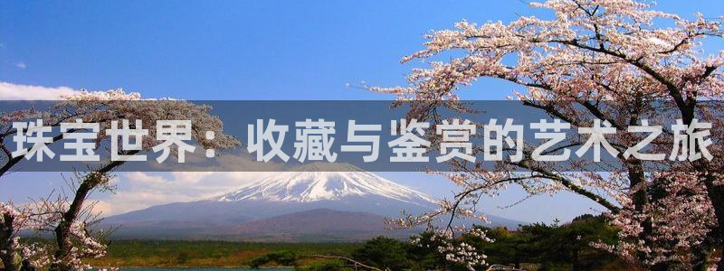 新宝5登陆地址：珠宝世界：收藏与鉴赏的艺术之旅