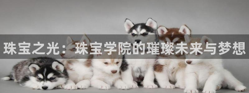 新宝5王问74OOO5：珠宝之光：珠宝学院的璀璨未来与梦想