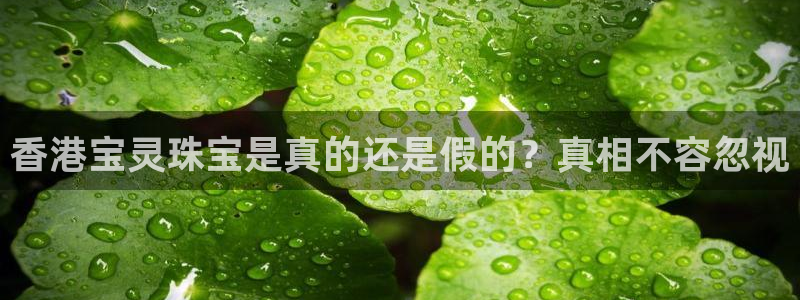 新宝5彩票娱乐平台：香港宝灵珠宝是真的还是假的？真相不容忽视