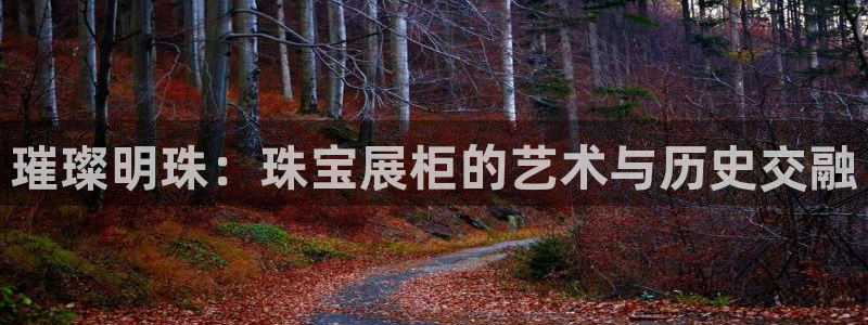 新宝5怎么代理：璀璨明珠：珠宝展柜的艺术与历史交融