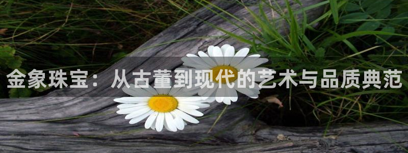 新宝rm5：金象珠宝：从古董到现代的艺术与品质典范