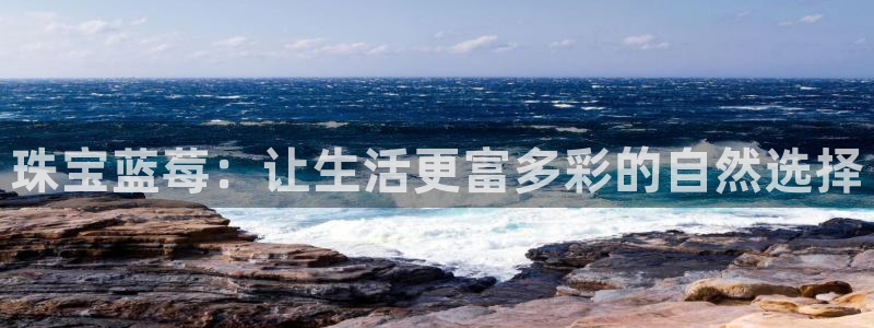 新宝5手机app