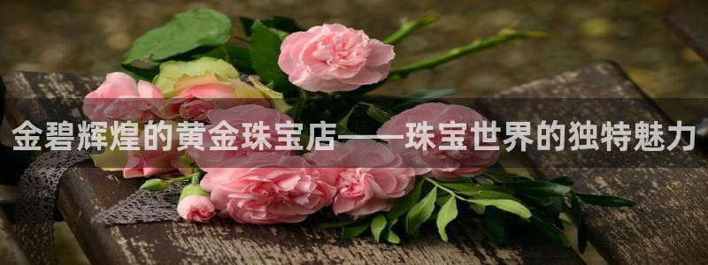 新宝5测速线路