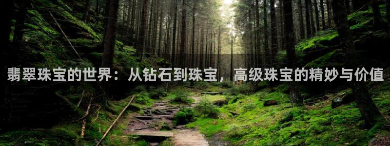新宝5如何注册：翡翠珠宝的世界：从钻石到珠宝，高级珠宝的精妙与价值