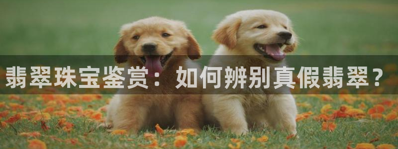 新宝5下载测试：翡翠珠宝鉴赏：如何辨别真假翡翠？