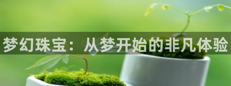 新宝j2O5O5O：梦幻珠宝：从梦开始的非凡体验
