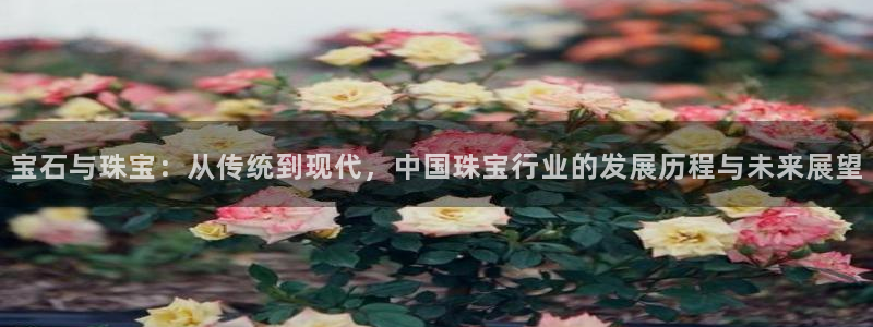 新5宝：宝石与珠宝：从传统到现代，中国珠宝行业的发展历程与未来展望
