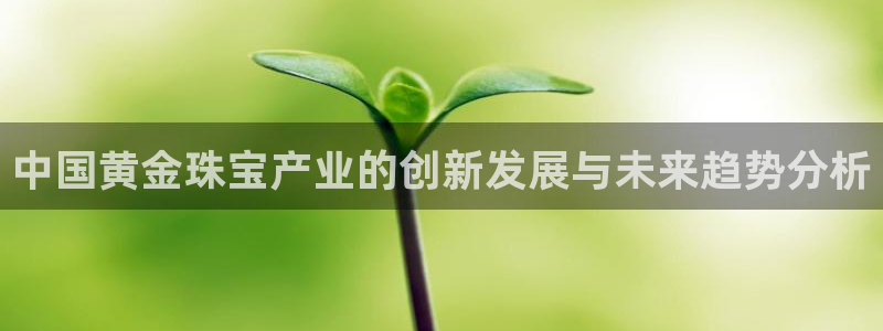 新宝gg5：中国黄金珠宝产业的创新发展与未来趋势分析