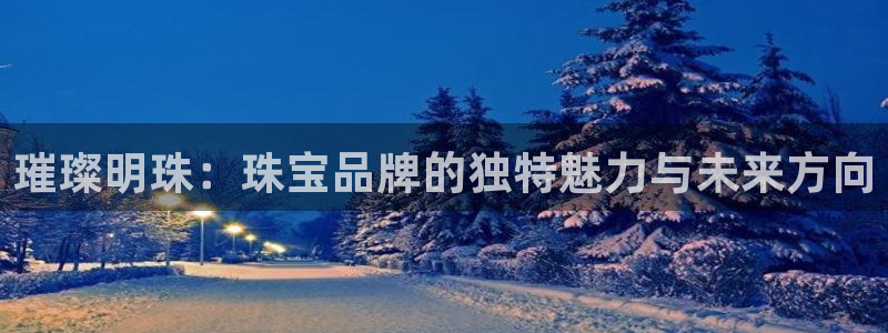 新宝5代理：璀璨明珠：珠宝品牌的独特魅力与未来方向