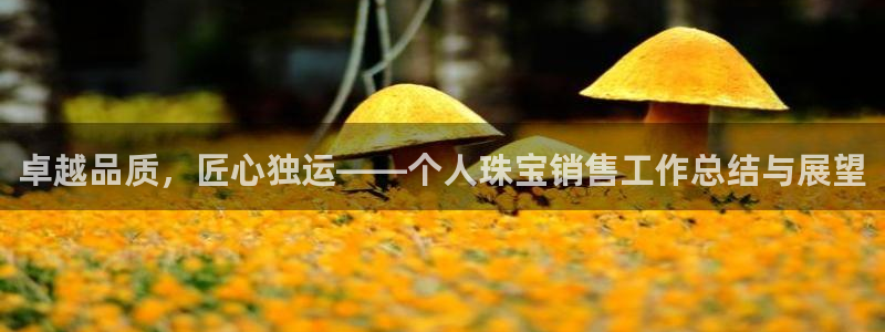 新宝5彩票平台登陆：卓越品质，匠心独运——个人珠宝销售工作总结与展望