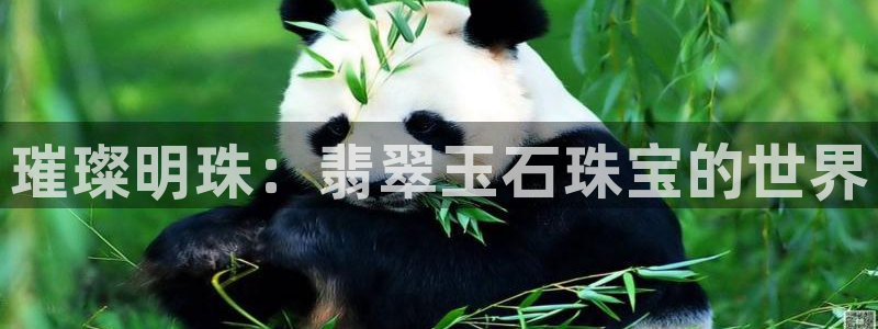 新宝5娱乐注册：璀璨明珠：翡翠玉石珠宝的世界