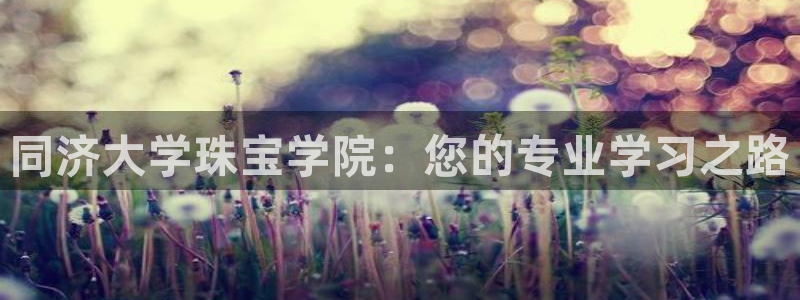 新宝5招商部：同济大学珠宝学院：您的专业学习之路