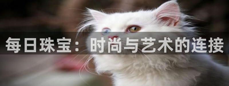 新宝5娱乐平台：每日珠宝：时尚与艺术的连接